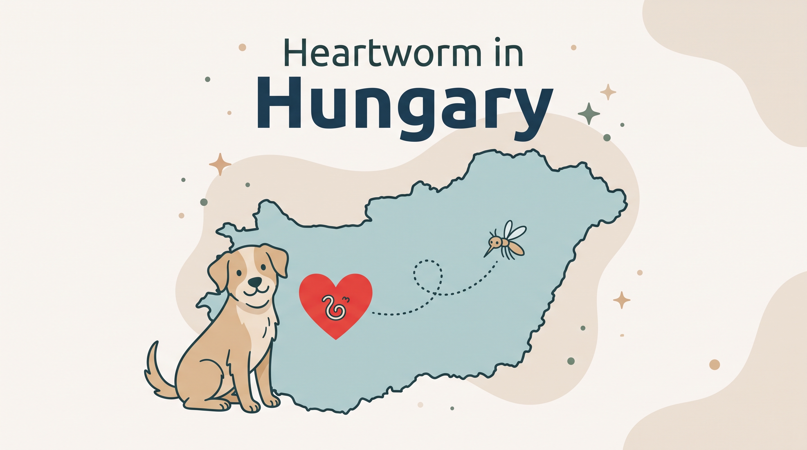Canine Dirofilariosis in Hungary